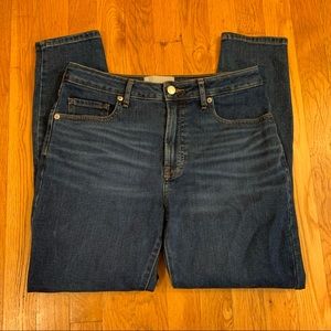 Everlane Curvy High Rise Skinny Blue Crop Jeans 29